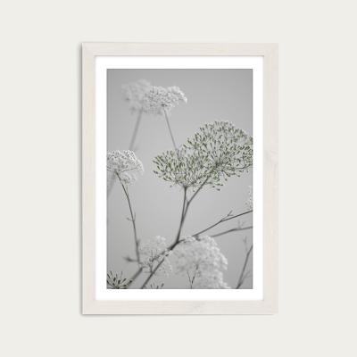 Bombinate.com White Greige Flower Blossoms Art Print White Frame