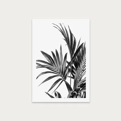 Bombinate.com Palm Leaves Black and White 1 Art Print Unframed