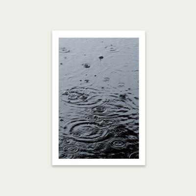 Bombinate.com Summer Rain Art Print Unframed
