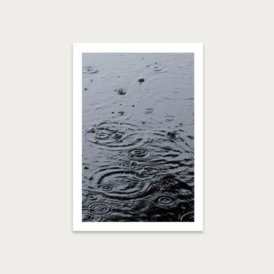 Bombinate.com Summer Rain Art Print Unframed