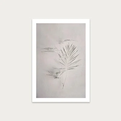 Bombinate.com Alabaster Forest 6 Art Print Unframed