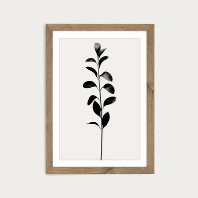 Bombinate.com Monochromatica No.9 Art Print Oak Frame