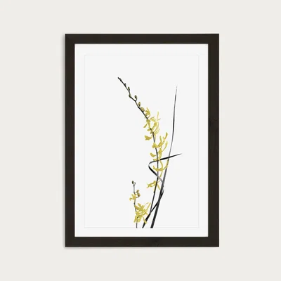 Bombinate.com Flower Minimal Black and Gold 6 Art Print Black Frame