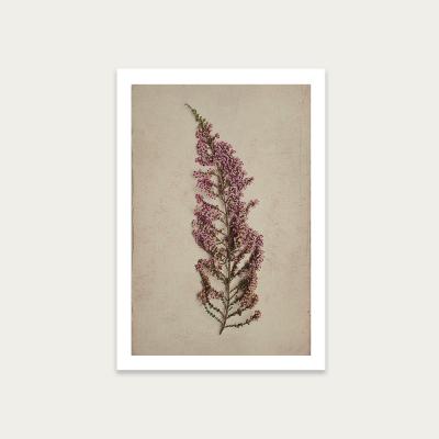 Bombinate.com Fynbos 3 Art Print Unframed