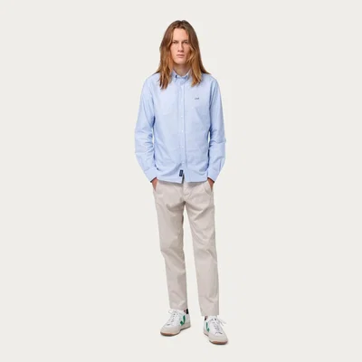 Bombinate.com The Plain Light Blue Duck Button Down Shirt
