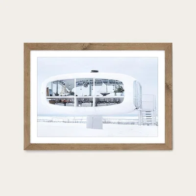 Bombinate.com Binz 01 Art Print Oak Frame