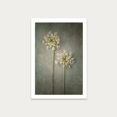 Bombinate.com Foraged 3 Art Print Unframed