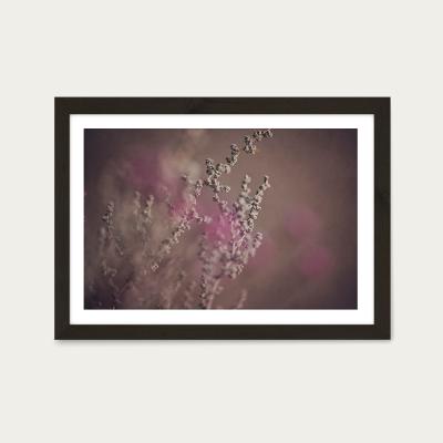 Bombinate.com Warm Fynbos 3 Art Print Black Frame