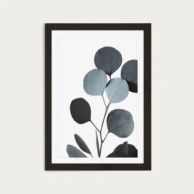 Bombinate.com Blue Green Hues Dried Eucalyptus Branches 2 Of 3 Art Print Black Frame