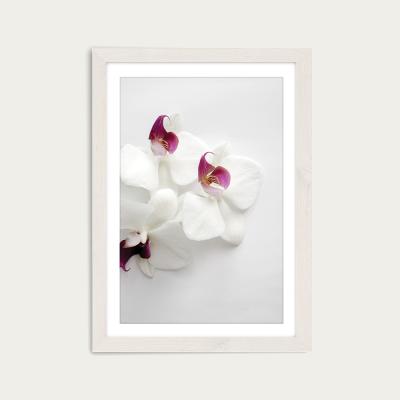 Bombinate.com White Wild Orchid Art Print White Frame