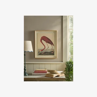 Cox and Cox Beaded Frame Flamingo Print