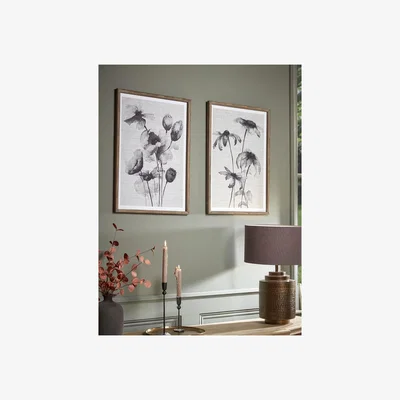 Cox and Cox Two Floral Framed Prints