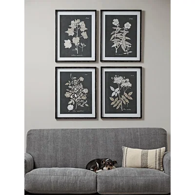 Cox and Cox Four Monochrome Botanical Framed Prints