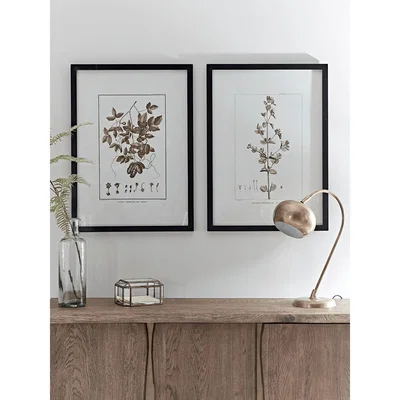 Cox and Cox Two Framed Plant Prints