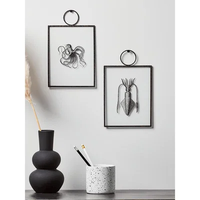 Cox and Cox NEW Two Molluscs Framed Prints