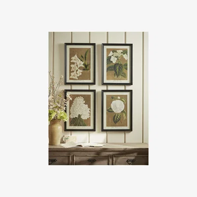 Cox and Cox Four Aged Effect Floral Framed Prints