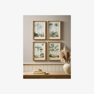 Cox and Cox Four Palm Prints Framed