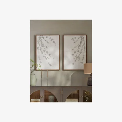 Cox and Cox Two Blossom Canvases