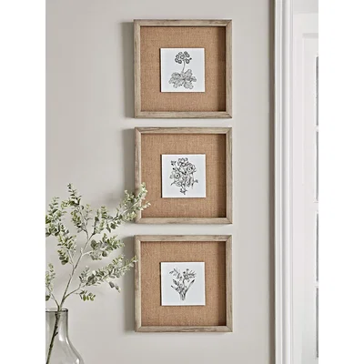 Cox and Cox Three Botanical Sketched Prints