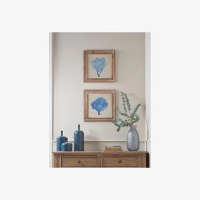 Cox and Cox Two Blue Coral Framed Prints