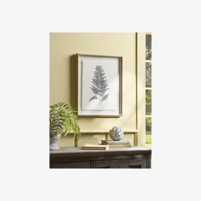 Cox and Cox Framed Fern Linen Print