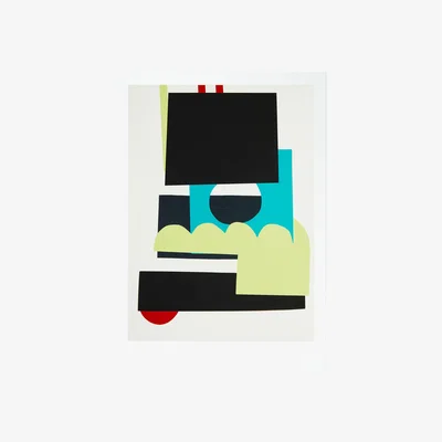 The Conran Shop Exclusive Birds of Prey Print By AAH YES STUDIO