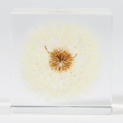 The Conran Shop Dandelion Sola Cube