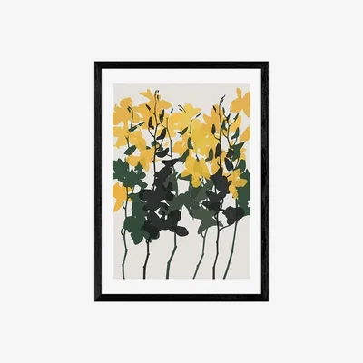 Cult Furniture Orchids In Bloom, Graphic Print Colour: Black, Size: A3
