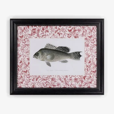 Casa by JJ Fish III Framed Print  Noble Vintage for the English Home