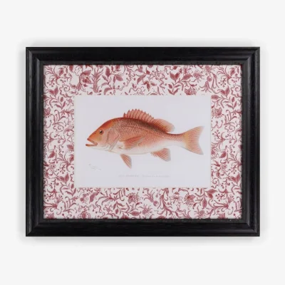 Casa by JJ Fish Study I  Vintage Character for Every Corner