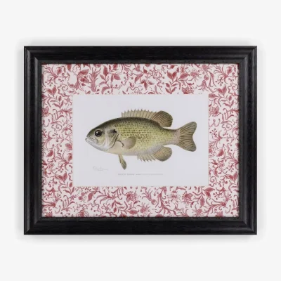 Casa by JJ Fish IV Framed Print British, and Just a Bit Brilliant