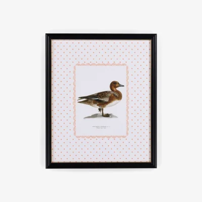Casa by JJ Duck I Framed Print  The Most Dashing Duck You'll Ever Hang on a Wall