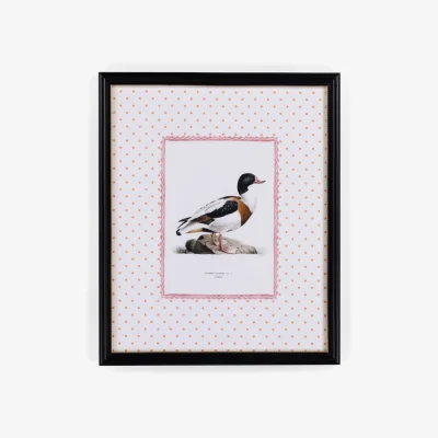 Casa by JJ Duck IV Framed Print- The Prettiest By Far