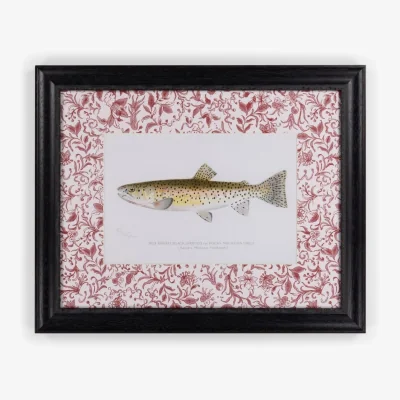 Casa by JJ Fish II Framed Print  A Quiet Classic with Personality