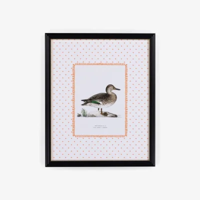 Casa by JJ Duck II Framed Print - Utterly Adorable Wall Art