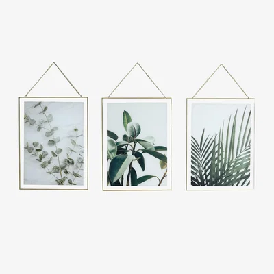 Dunelm Set of 3 Hanging Leaf Prints Green
