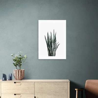Dunelm East End Prints Succulent I Print Green