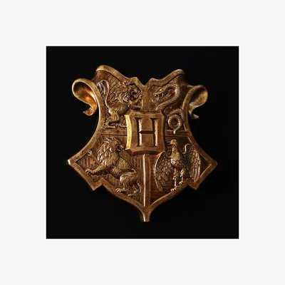 Dunelm Harry Potter Wall Shield