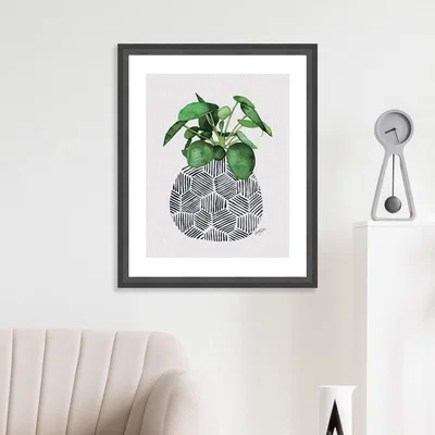 Dunelm The Art Group Chinese Money Plant Framed Print Green