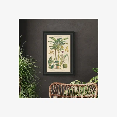 Dunelm Fruit Trees I Framed Print