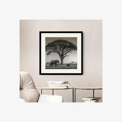 Dunelm Artko Serengeti Safari Elegant Elephants Framed Print