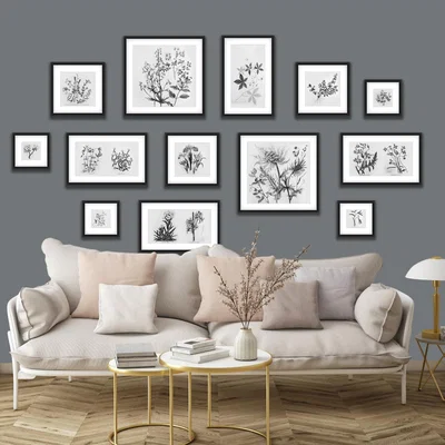 Dunelm Botanical Gallery Wall Grey Mural Grey