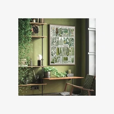 Dunelm Cedar & Sage The Botanist Framed Canvas Brown