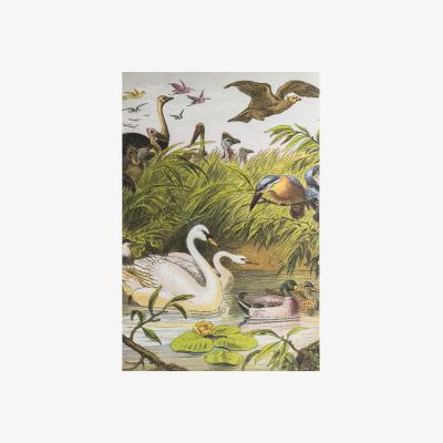 Dunelm Menagerie Unframed Art MultiColoured