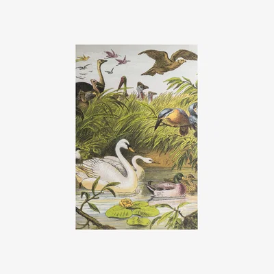 Dunelm Menagerie Unframed Art MultiColoured