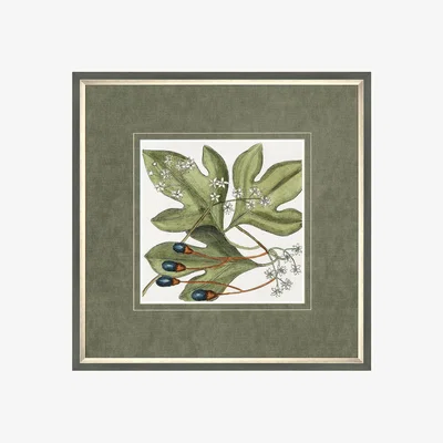 Dunelm Botanical Beauty Framed Print