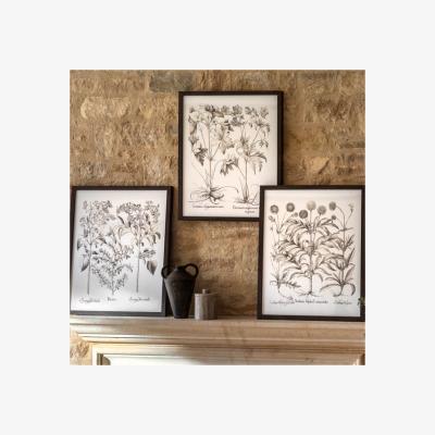 Dunelm Cedar & Sage Set of 3 Evergreen Framed Prints