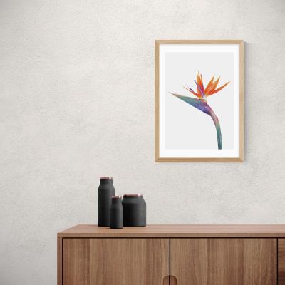 Dunelm East End Prints Exuberance Print MultiColoured