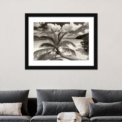 Dunelm The Art Group Still Growing To The Sun Framed Print Black and white
