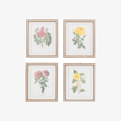 Dunelm Cedar & Sage Set of 4 Floral Quartet Framed Prints